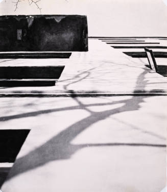 Untitled (Windows Looking Up)