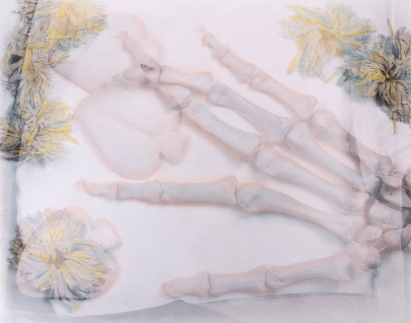 Kathy Vargas, Oracion: Valentine’s Day/ Day of the Dead (Hand), ca. 1989-1990, Gelatin silver p…