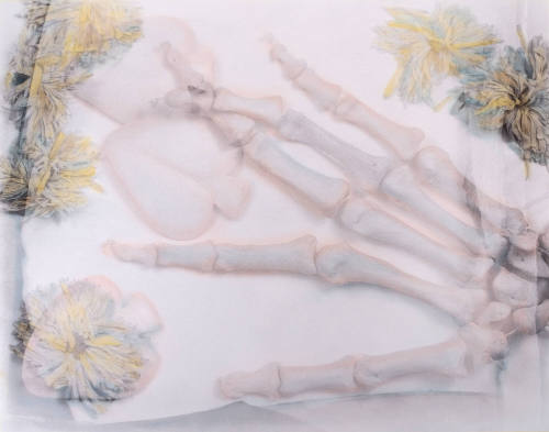 Kathy Vargas, Oracion: Valentine’s Day/ Day of the Dead (Hand), ca. 1989-1990, Gelatin silver p…