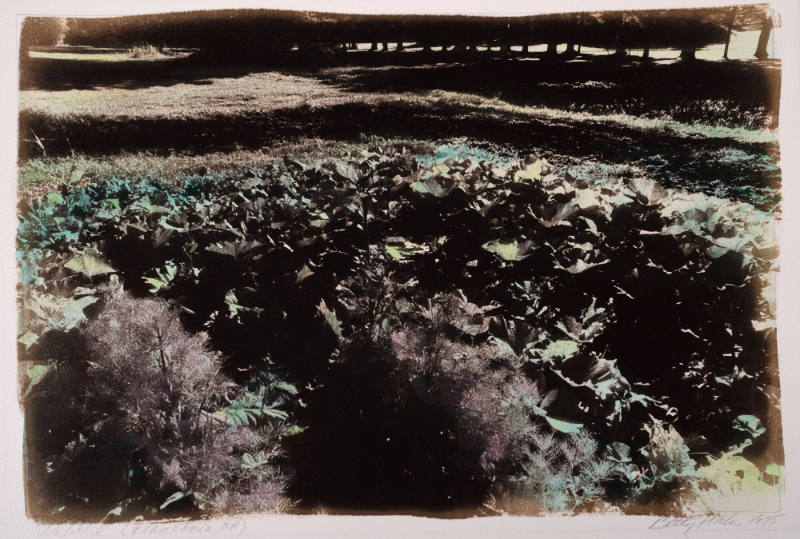 Untitled (Franconia, New Hampshire)