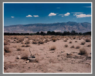 Manzanar, Japanese-American Concentration Camp, California, June 15, 1994 /  MA-5-20-55 (from the series Japanese American Concentration Camps)