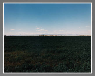 Poston 1, Japanese-American Concentration Camp, Arizona, March 24, 1995 / P-3-11-84 (from the series Japanese American Concentration Camps)