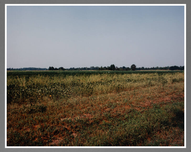 Rohwer, Japanese-American Concentration Camp, Arkansas, August 28, 1993 / R-4-6-96 (from the series Japanese American Concentration Camps)