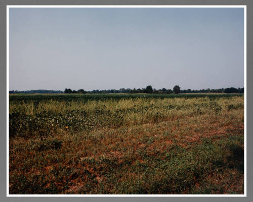 Rohwer, Japanese-American Concentration Camp, Arkansas, August 28, 1993 / R-4-6-96 (from the series Japanese American Concentration Camps)