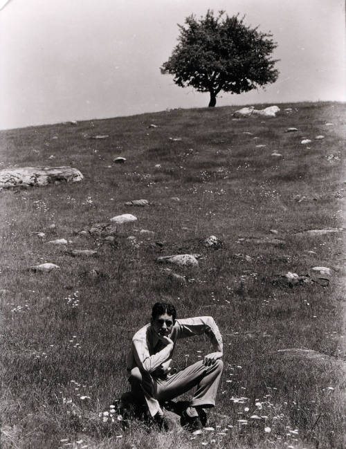 Self-Portrait Being Foolish