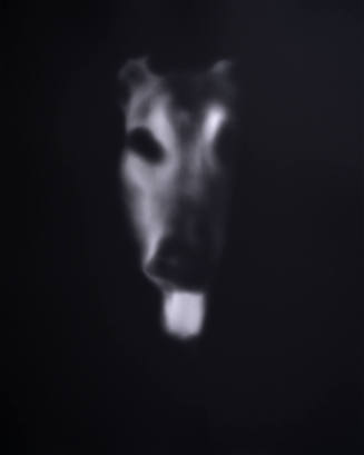 Dog #1