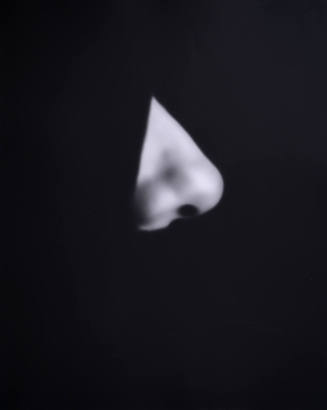 Nose