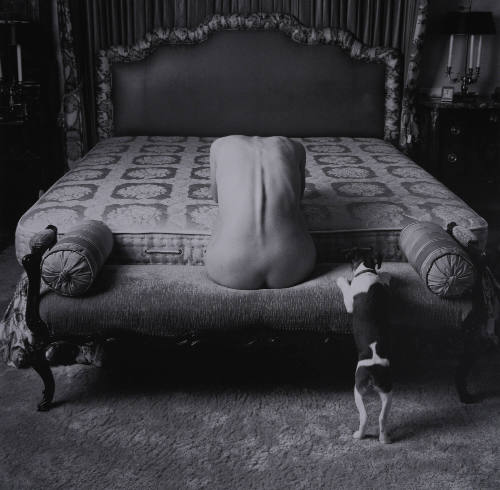 Woman With Dog and Bed