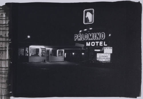 Palomino Motel
