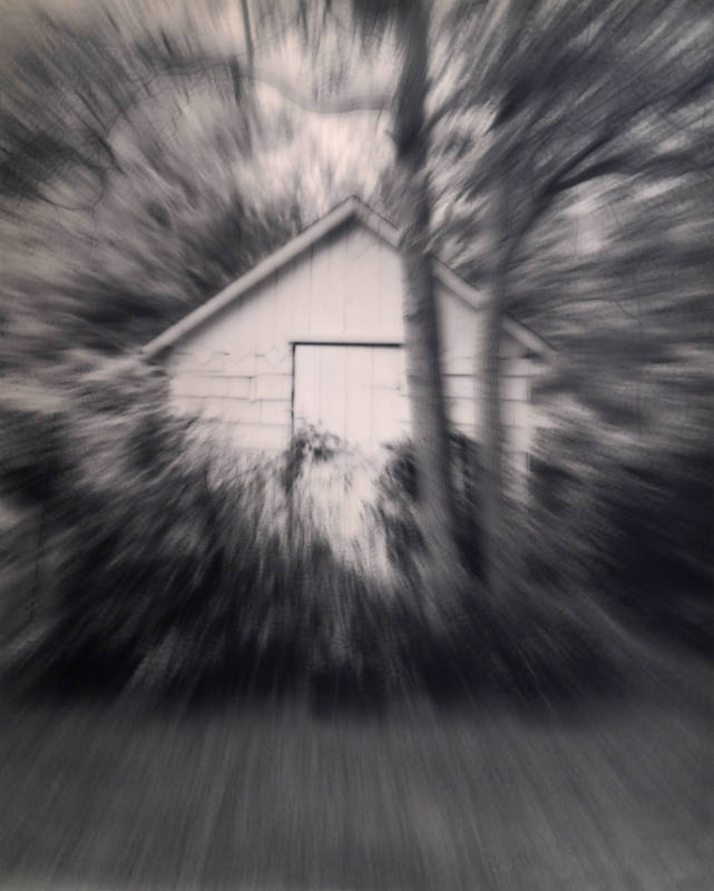 The House