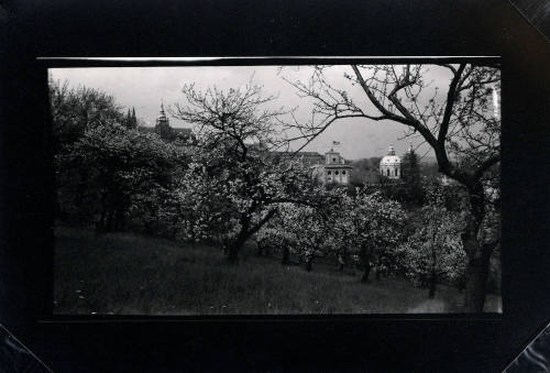 Untitled (Countryside with Blossoming Trees)