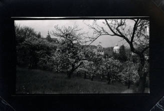 Untitled (Countryside with Blossoming Trees)