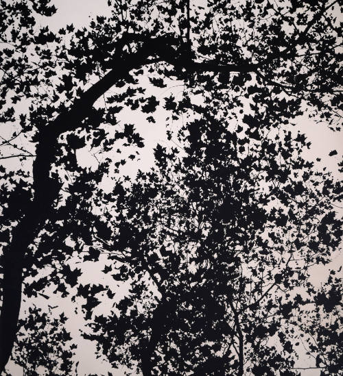 Leaves, London #1