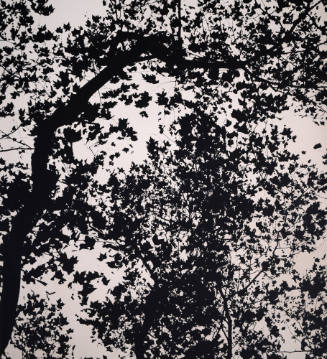 Leaves, London #1