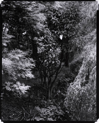 The Garden, Orgeval (from Portfolio Two: The Garden)