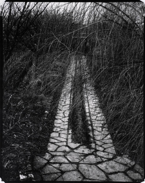 Driveway, Orgeval