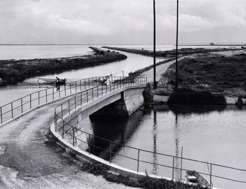 The Camargue, France
