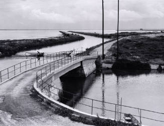 The Camargue, France