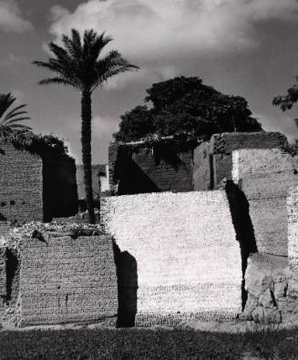 Bani Salah, Fayyum, Egypt