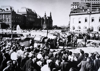 Downed German plane