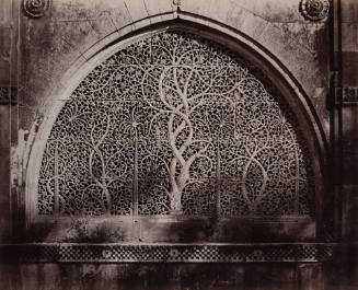 Sidi Said's Mosque, Ahmedabad (Detail)