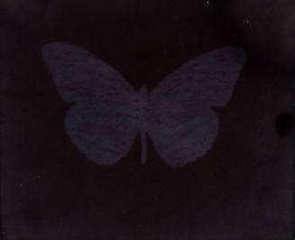 William Henry Fox Talbot
