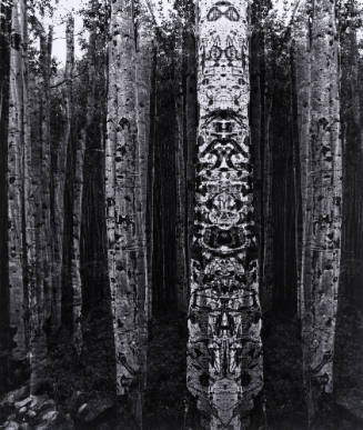 Untitled (Trees)