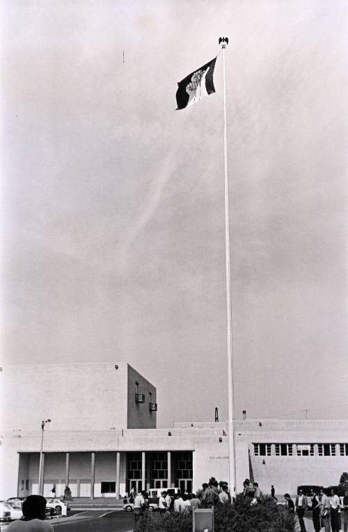 Untitled (Strike Flag)