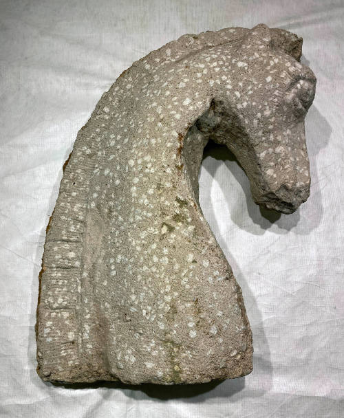 Untitled (Horse Head)