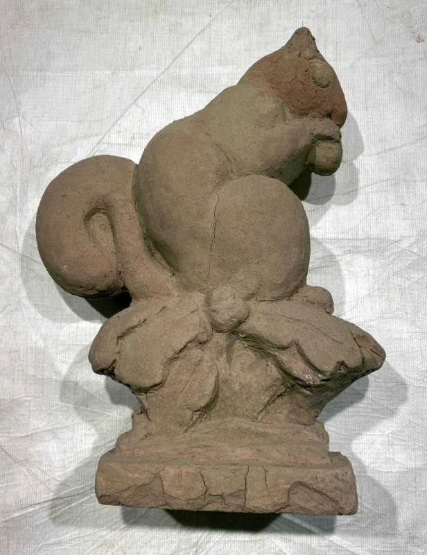 Untitled (Small Squirrel)