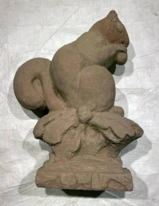 Untitled (Small Squirrel)
