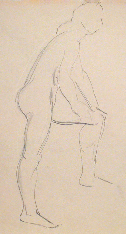 Untitled (Contour drawings of female nude)