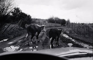 Near Truchas New Mexico