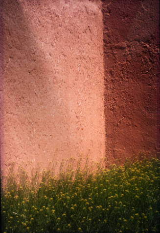 Adobe Wall #22
