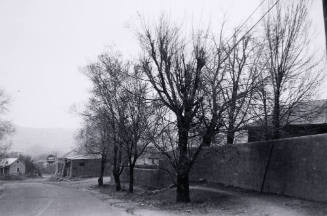 Dixon