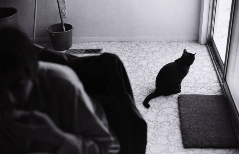 Breakfeast, Ann Treer and Marie Cat