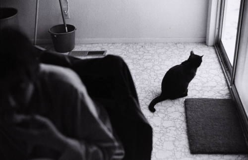 Breakfeast, Ann Treer and Marie Cat