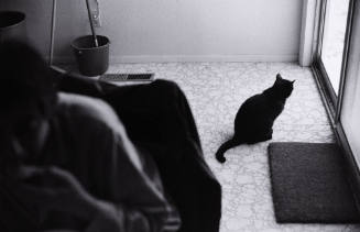 Breakfeast, Ann Treer and Marie Cat