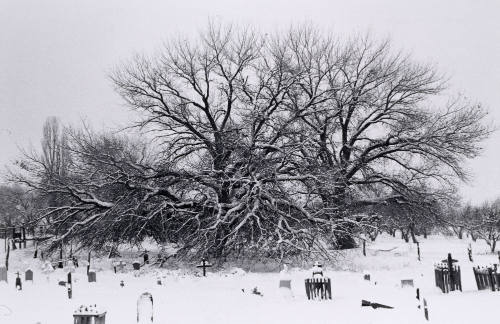 El Llano Cemetery, Espanola
