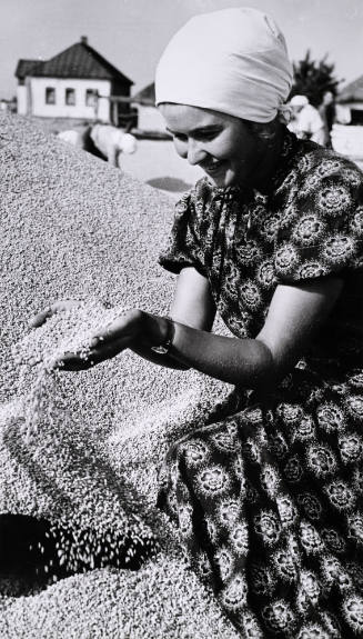 Joy of wheat farmer, Lenin Kohlkhoz