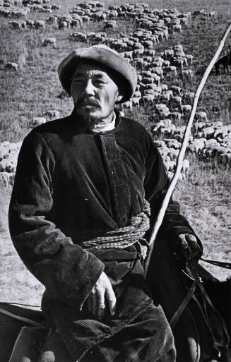 Shepard Murgisanou Decorated for Developing Land