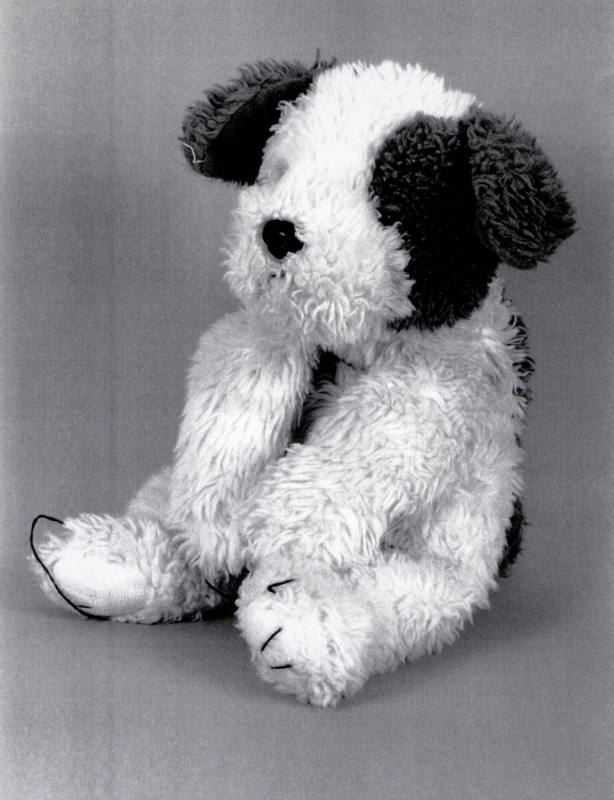 Favorite Objects: Dog