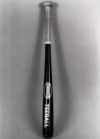 Favorite Objects: Baseball Bat