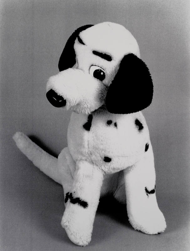 Favorite Objects: Dog