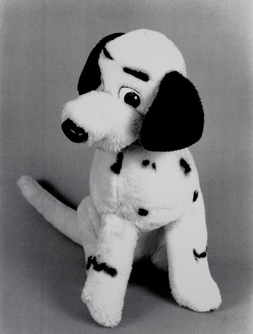 Favorite Objects: Dog