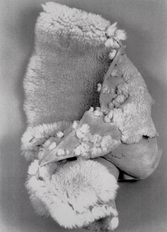 Favorite Objects: Rug