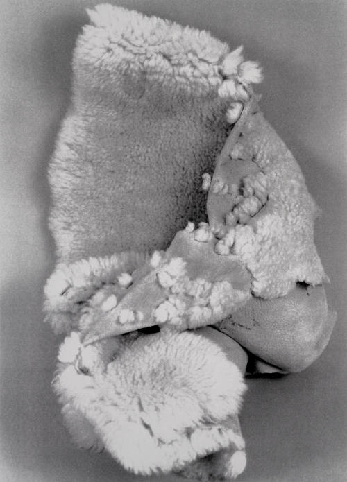 Favorite Objects: Rug