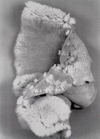 Favorite Objects: Rug