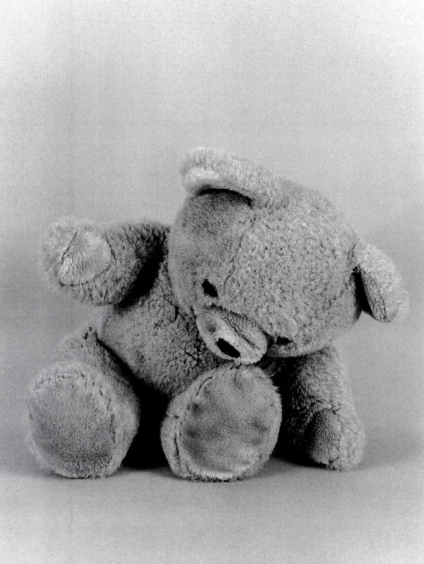 Favorite Objects: Teddy Bear
