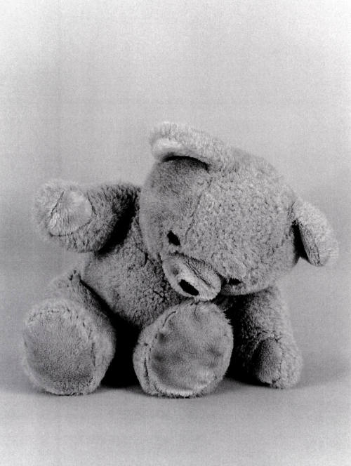 Favorite Objects: Teddy Bear